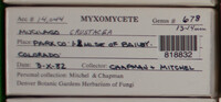 Image Associated With the Occurence